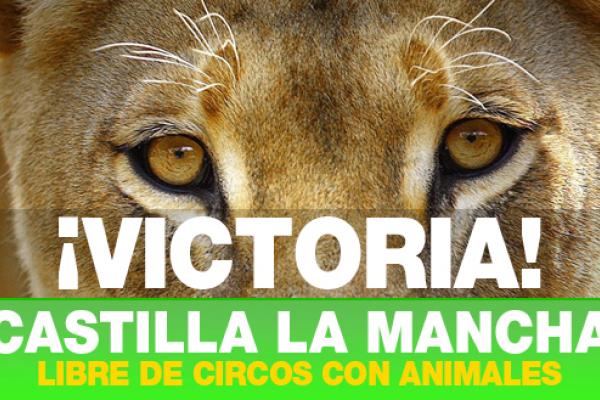 Castilla la Mancha prohibe circos con animales salvajes