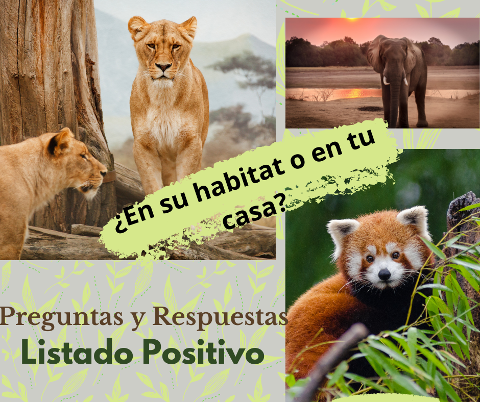 Click para saber mas