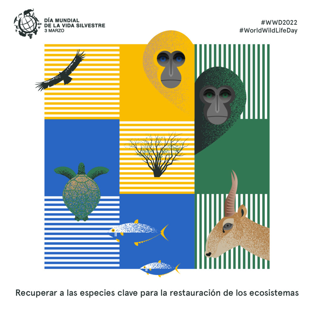 Dia mundial de la vida silvestre