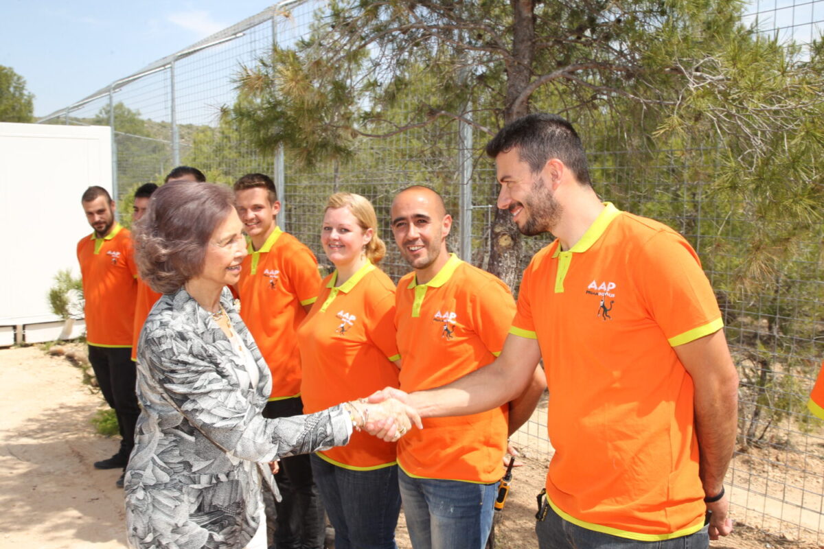 S.M. Reina Sofia en Primadomus