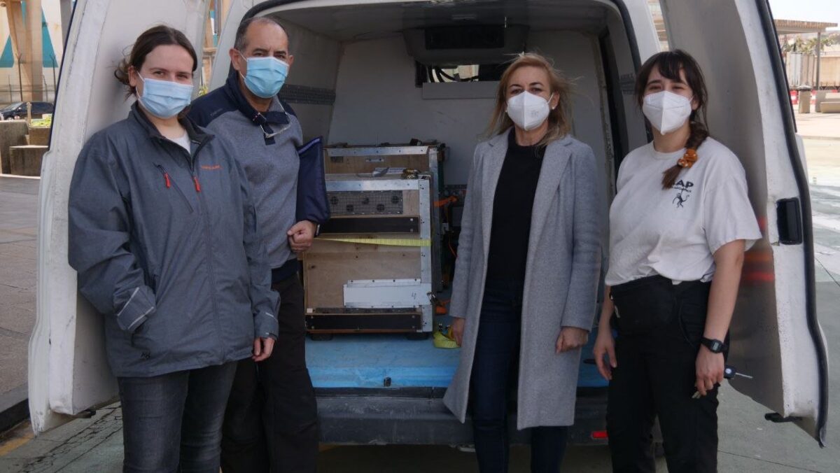 Racogida de los animales en Melilla