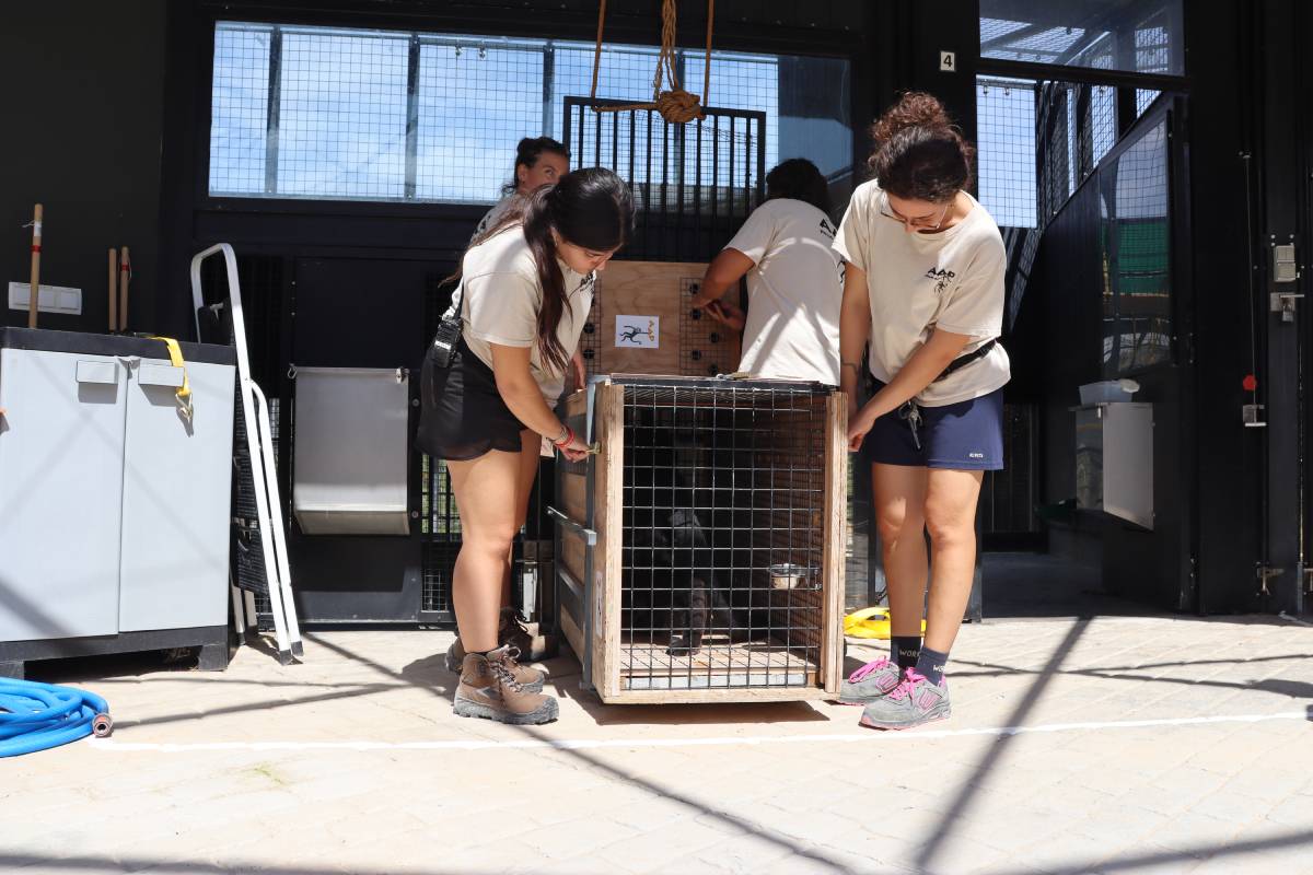 centro de rescate de animales