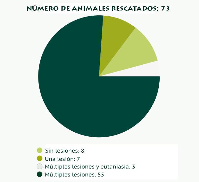 Lesiones y traumas en animales de circo