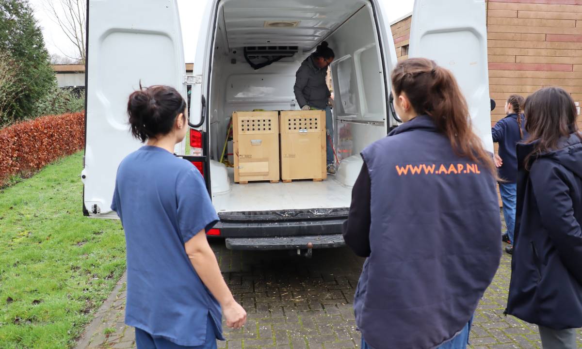 Cajas de transporte de macacos de Berbería en el interior de la furgoneta.