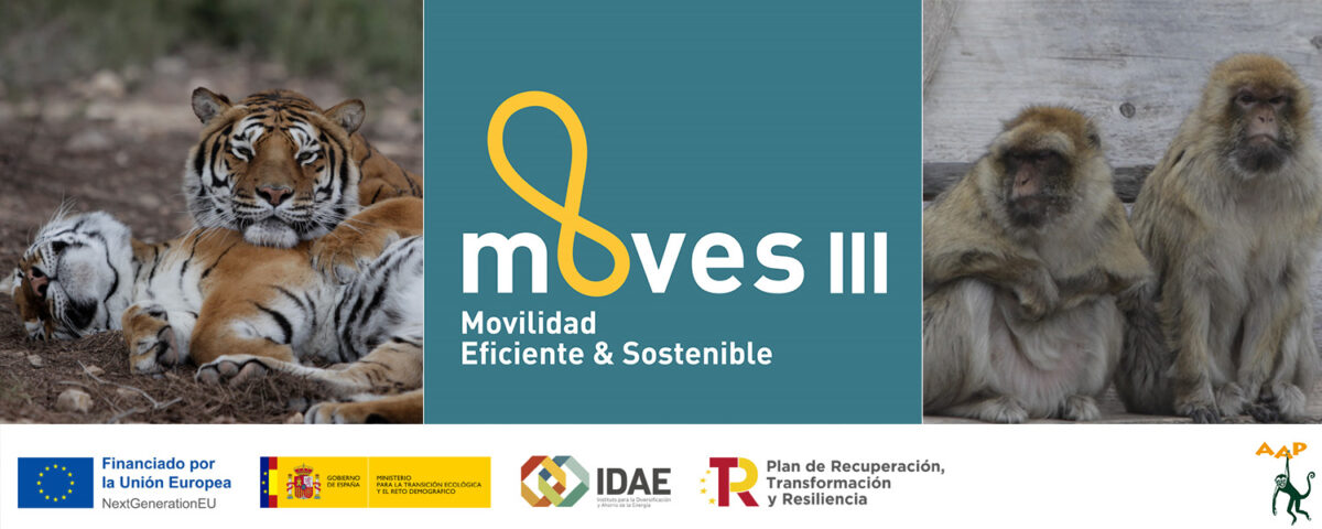 AAP subvención Moves III